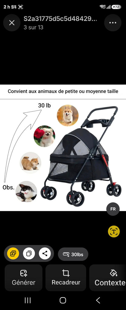 Poussette pour chien- Panoramique