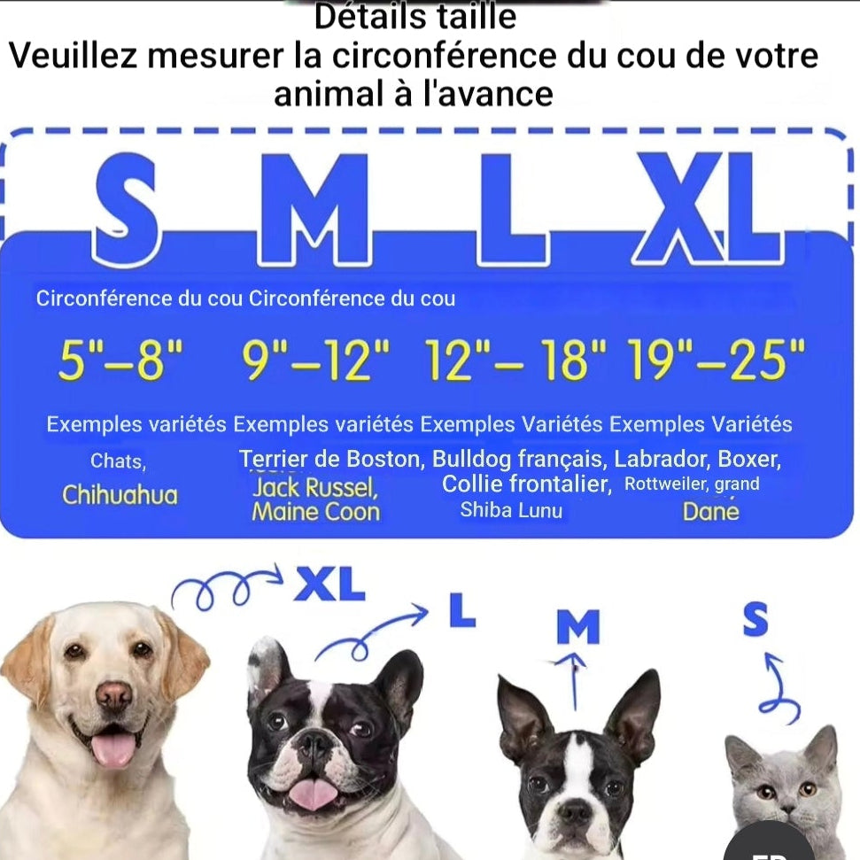 Collerette chien- Beignets protecteur