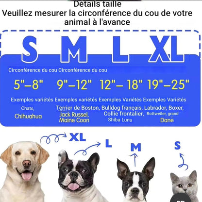Collerette chien- Beignets protecteur