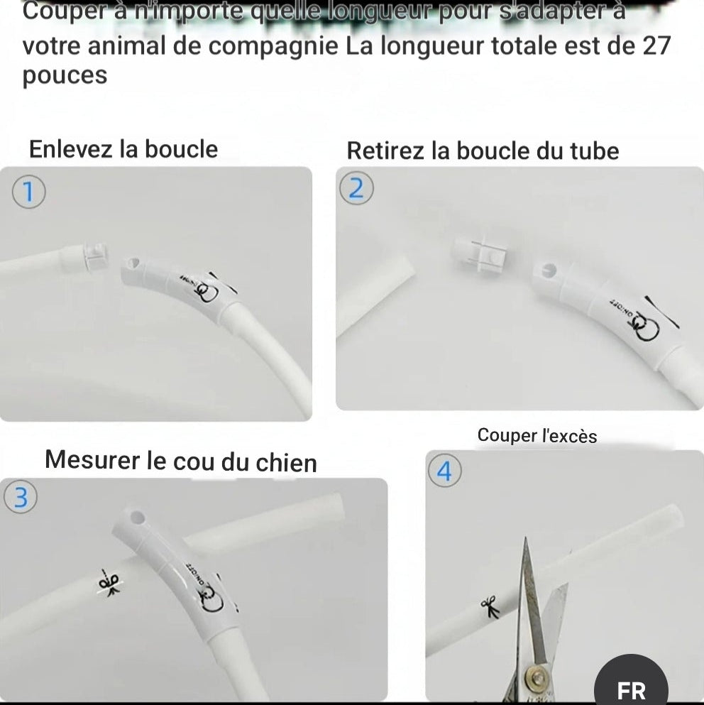 Chien collier lumineux | LED Rechargeable 360°