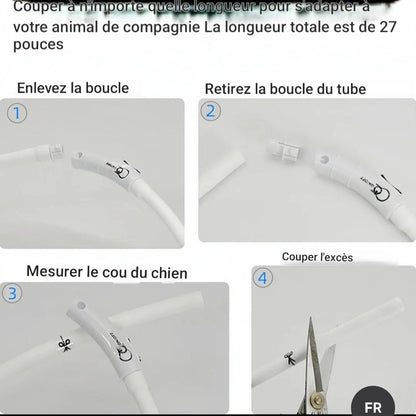 Chien collier lumineux | LED Rechargeable 360°