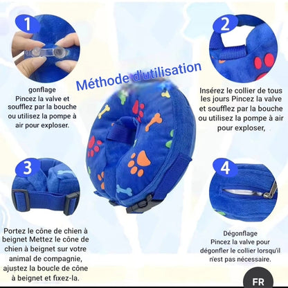 Collerette chien- Beignets protecteur