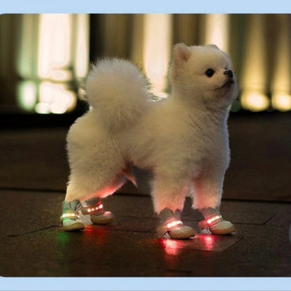 chaussure chien |  MINI-LED Respirante