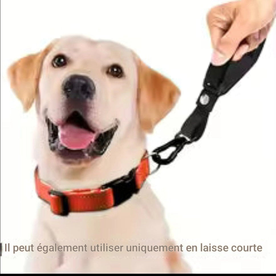 Laisse mains libres pour chiens | Ultra-résistante