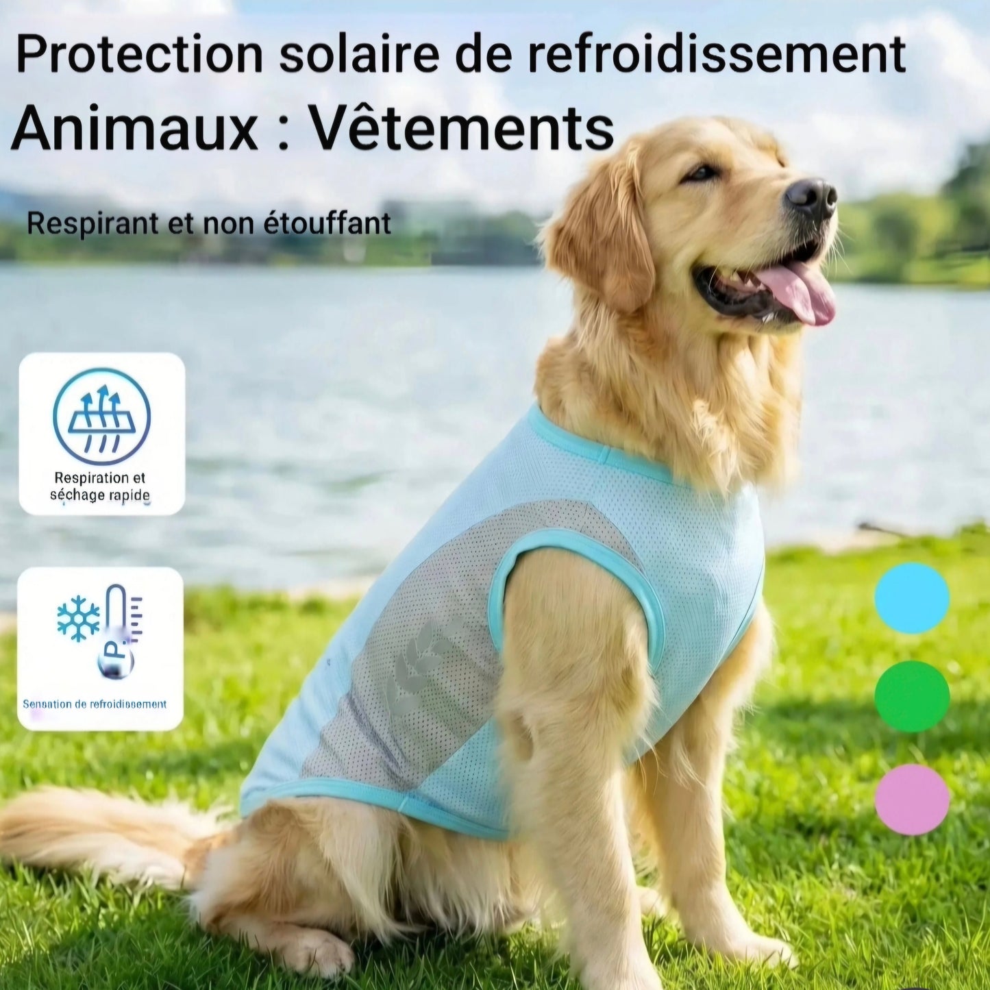 veste chien | Rafraîchissante Anti-UV