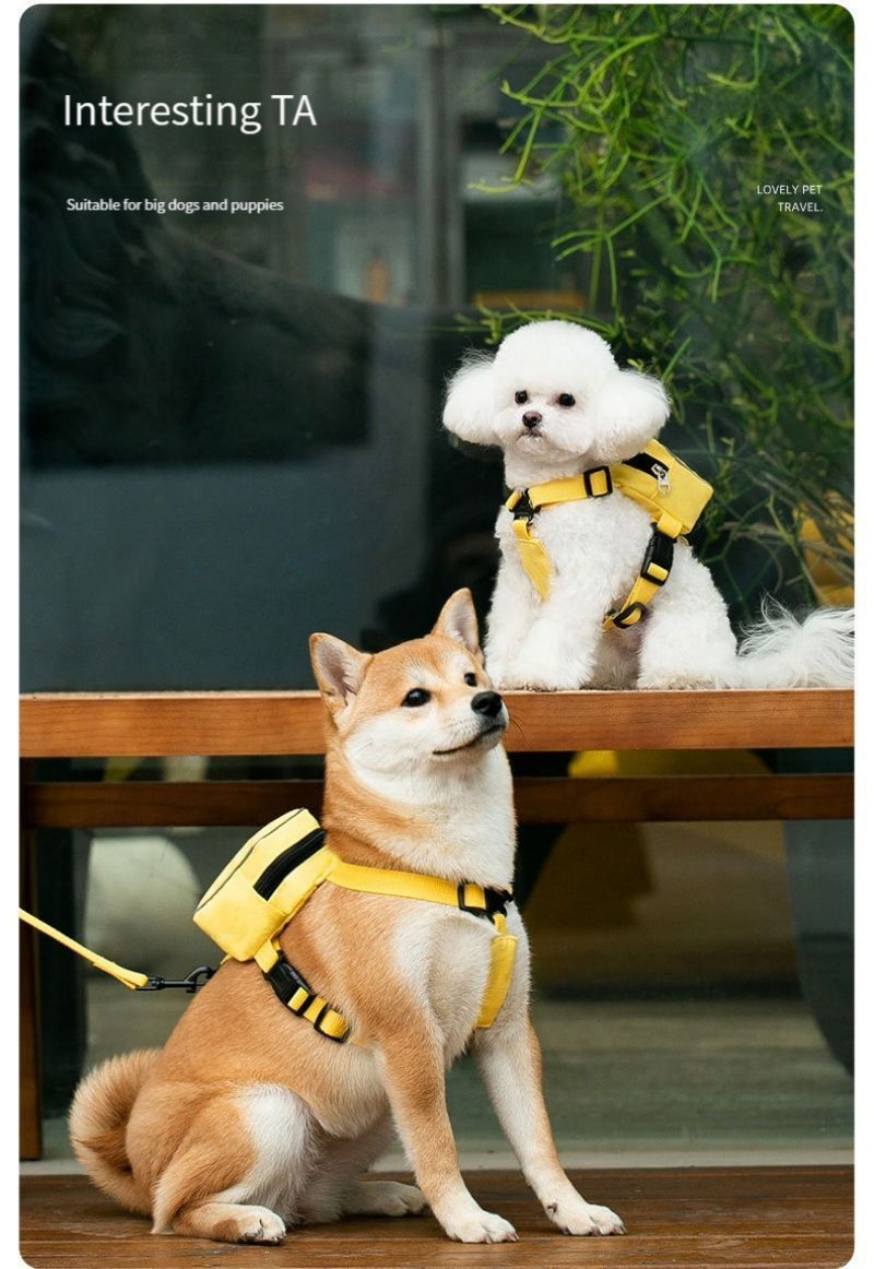 Sac a dos chien - Gilet sac à dos - Le Chihuahua Voyageur