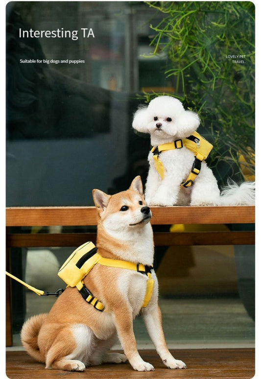 Sac a dos chien - Gilet sac à dos - Le Chihuahua Voyageur