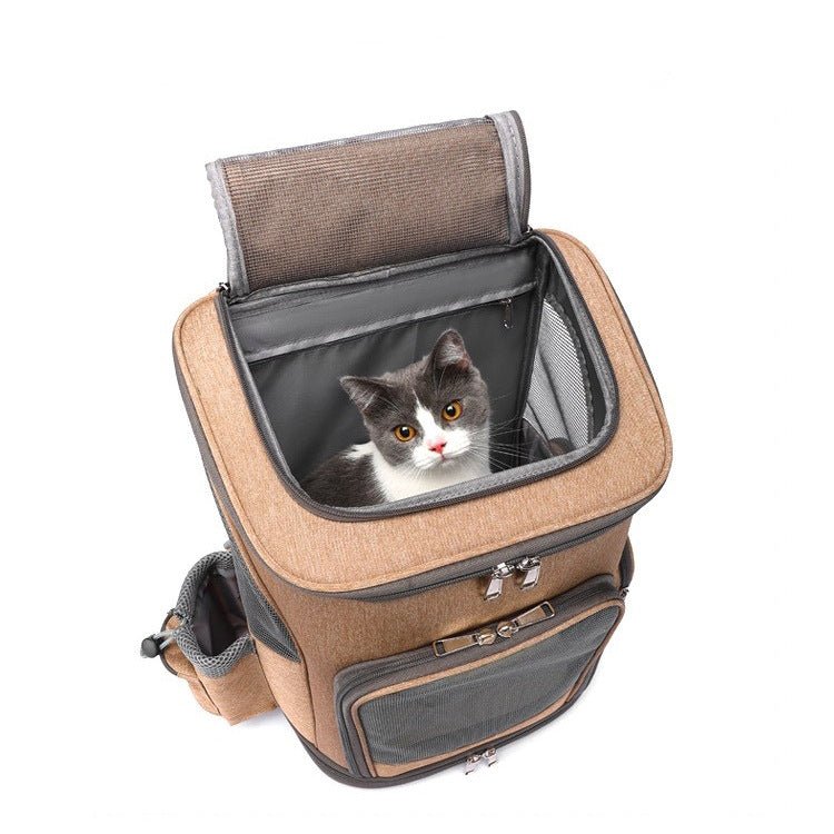 Sac à dos pour chien - Sac à dos sur roulettes - Le Chihuahua Voyageur