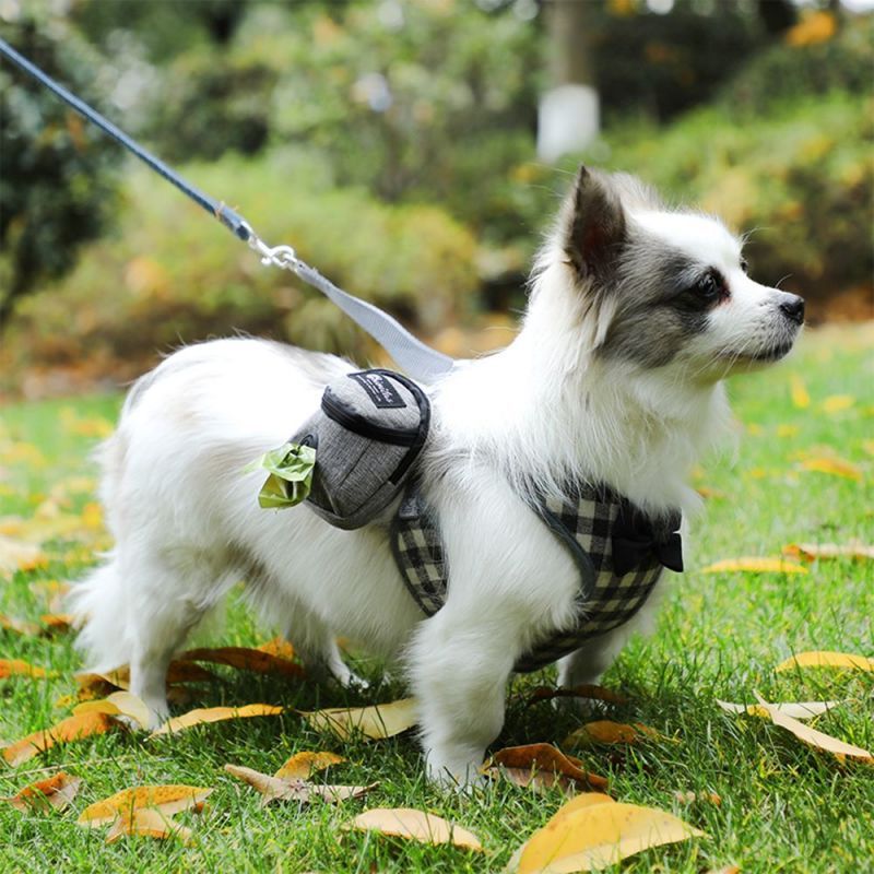 Sac pour chien ELEGANTE BALADE - Le Chihuahua Voyageur