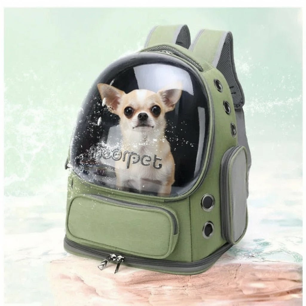 Sac transport Chien | Voyageur Moorpet - Le Chihuahua Voyageur
