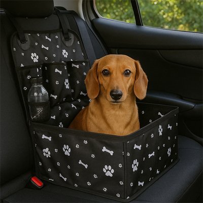 Siege auto chien | Confort Sécurisé - Le Chihuahua Voyageur