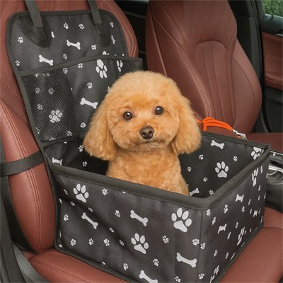 Siege auto chien | Confort Sécurisé - Le Chihuahua Voyageur