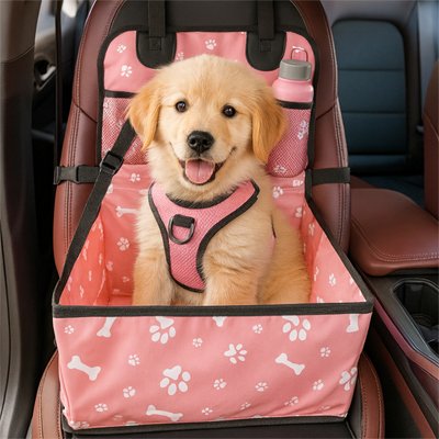 Siege auto chien