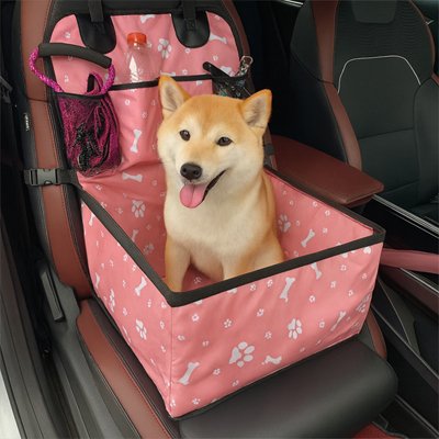 Siege auto chien