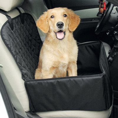 Siege auto pour chien | Sécuri - Travel - Le Chihuahua Voyageur