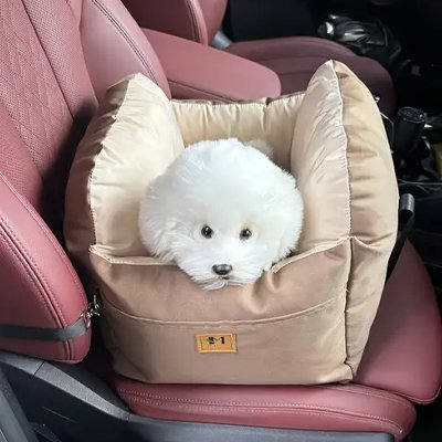 Siege auto pour chien | Sécurisé et Confortable - Le Chihuahua Voyageur