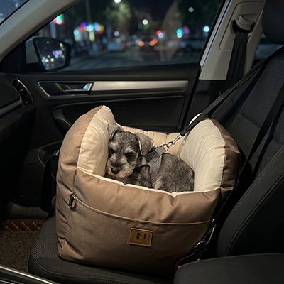 Siege auto pour chien | Sécurisé et Confortable - Le Chihuahua Voyageur