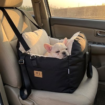 Siege auto pour chien | Sécurisé et Confortable - Le Chihuahua Voyageur