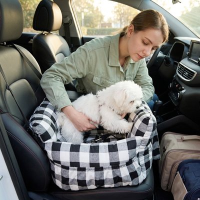 Siege auto pour chien | Ultra-sécurisé - Le Chihuahua Voyageur