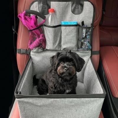 Siege auto pour chien | Voyage Sécurisé - Le Chihuahua Voyageur