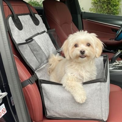 Siege auto pour chien | Voyage Sécurisé - Le Chihuahua Voyageur