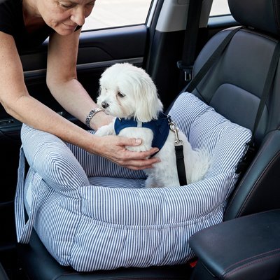 Siege auto pour chien blanc bleu
