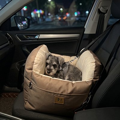 Siege auto pour chien -brun