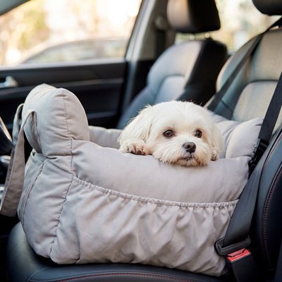 Siege auto pour chien gris clair