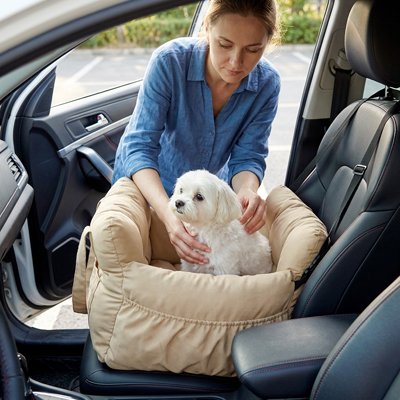 Siege auto pour chien kaki clair