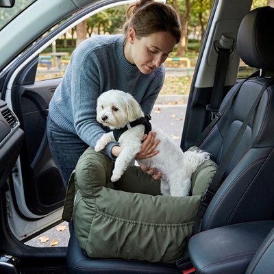 Siege auto pour chien vert