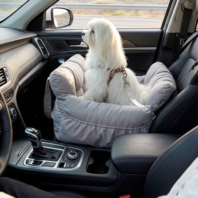 Siege auto pour chien vision plus