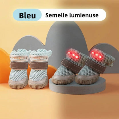 chaussure chien |  MINI-LED Respirante