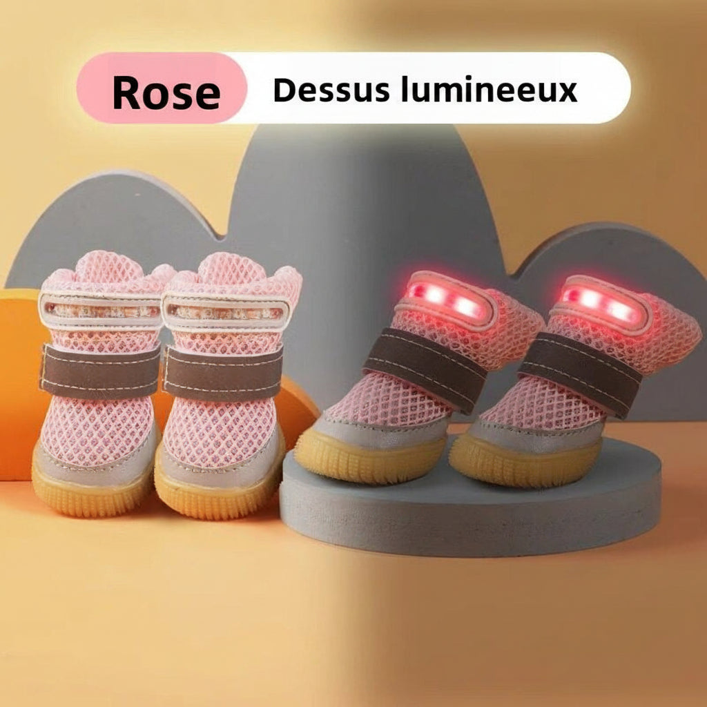 chaussure chien |  MINI-LED Respirante