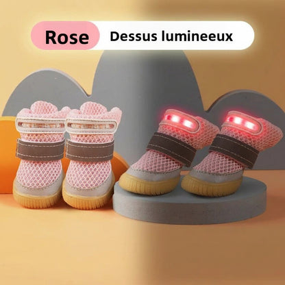 chaussure chien |  MINI-LED Respirante