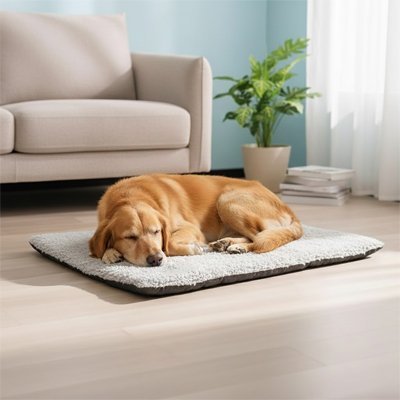 Tapis Chien | ConfortPaws - Le Chihuahua Voyageur