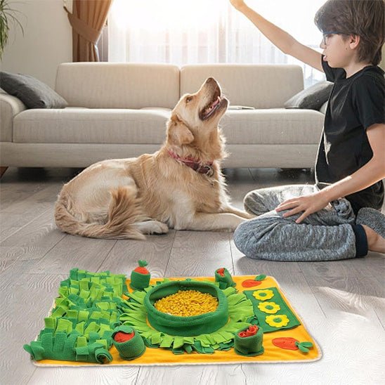 tapis de fouille chien - No anxiety - Le Chihuahua Voyageur