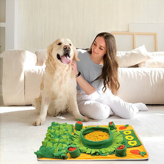tapis de fouille chien - No anxiety - Le Chihuahua Voyageur
