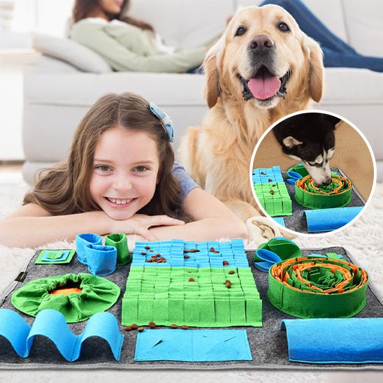 Tapis de fouille chien - Renifleur plus - Le Chihuahua Voyageur