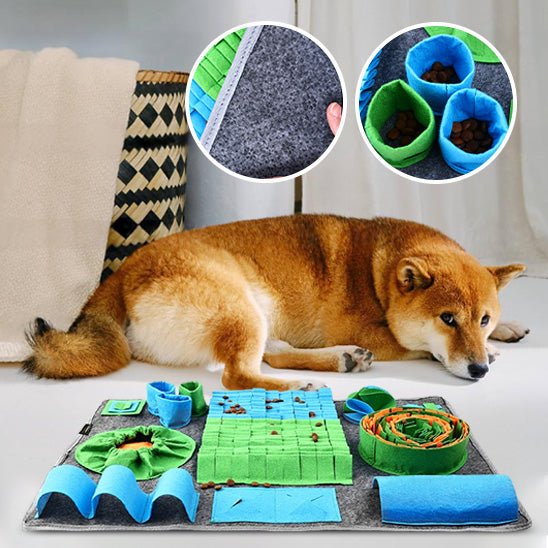 Tapis de fouille chien - Renifleur plus - Le Chihuahua Voyageur