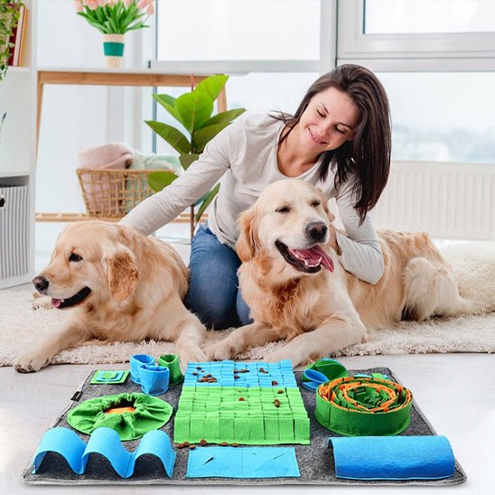 Tapis de fouille chien - Renifleur plus - Le Chihuahua Voyageur