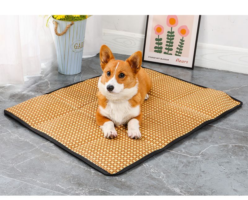 Tapis pour chien - Patinoire pour animaux de compagnie - Le Chihuahua Voyageur