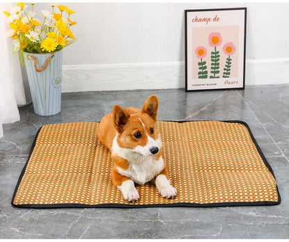 Tapis pour chien - Patinoire pour animaux de compagnie - Le Chihuahua Voyageur