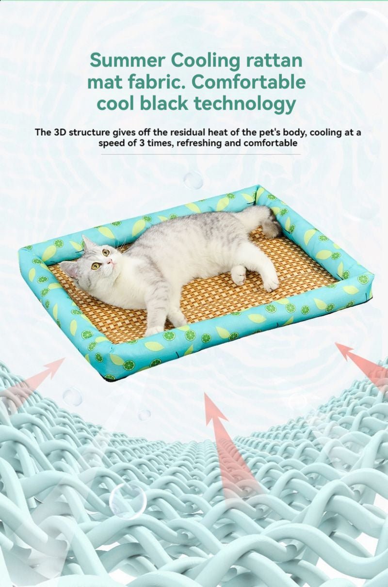 Tapis pour chien - Patinoire pour animaux de compagnie - Le Chihuahua Voyageur