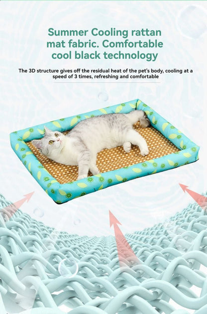 Tapis pour chien - Patinoire pour animaux de compagnie - Le Chihuahua Voyageur
