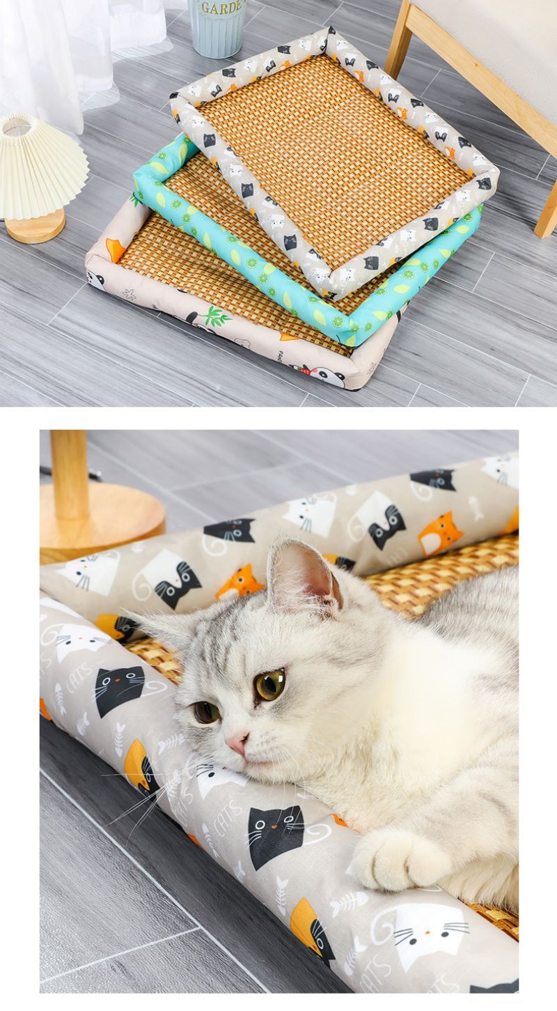 Tapis pour chien - Patinoire pour animaux de compagnie - Le Chihuahua Voyageur