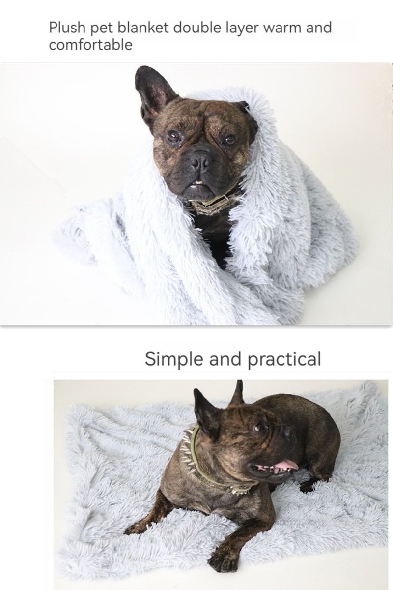 Tapis pour chien - Tapis en peluche pour animaux de compagnie - Le Chihuahua Voyageur