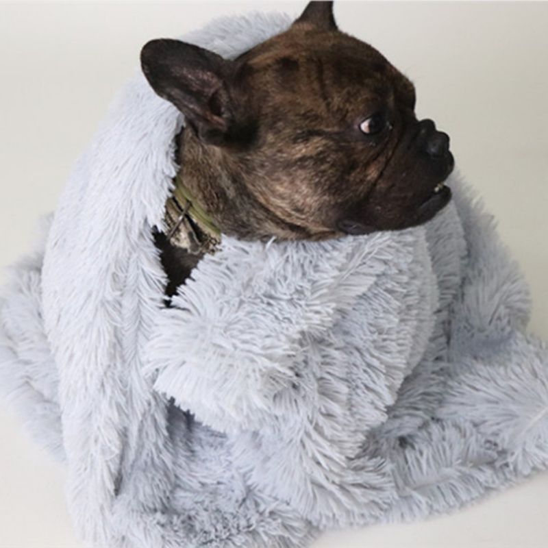 Tapis pour chien - Tapis en peluche pour animaux de compagnie - Le Chihuahua Voyageur