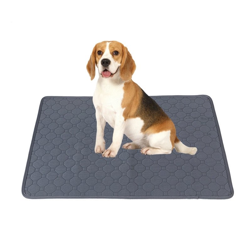 Tapis pour chien - Tapis urine et naissance - Le Chihuahua Voyageur