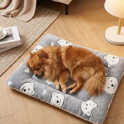 Tapis pour Chien | UltraComfort - Le Chihuahua Voyageur