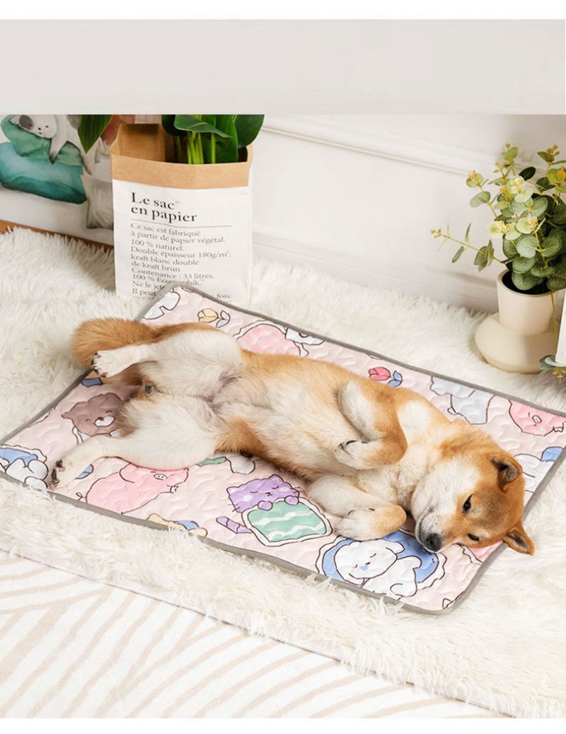 Tapis protection sanitaire pour animaux de compagnie - Le Chihuahua Voyageur